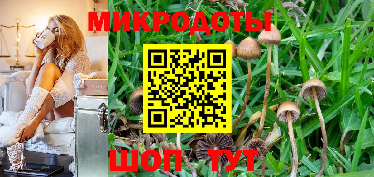Галлюциногенные грибы Psilocybe Ханты-Мансийск